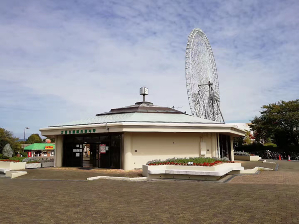 1510642875948063818.jpg 35.jpg