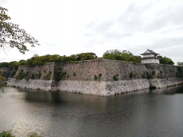 1510642929463045466.jpg 40.jpg