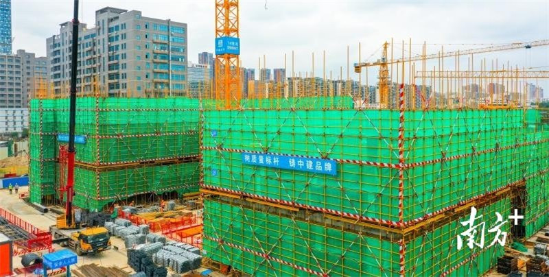 1618821257089011063.jpg 2.jpg